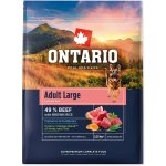 Ontario Adult Large Beef & Brown Rice 12 kg – Sleviste.cz