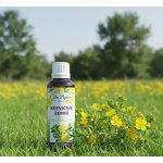 Dr.Popov Kapky bylinné Kotvičník zemní 50 ml – Hledejceny.cz