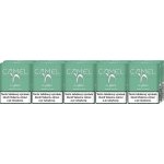 Camel Green karton – Zboží Dáma