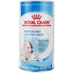 Royal Canin 1st Age Milk 0,4 kg – Hledejceny.cz