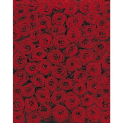 Komar 4-077 Fototapeta čtyřdílná - ROSES rozměry 194 x 270 cm – Zboží Mobilmania