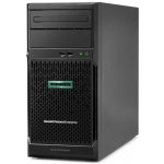 HP Enterprise ProLiant ML30G10 – Hledejceny.cz