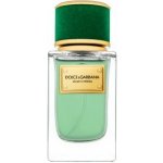 Dolce Gabbana Velvet Cypress parfémovaná voda unisex 50 ml – Hledejceny.cz