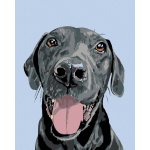 Zuty Malování podle čísel ČERNÝ KRASAVEC – Zboží Mobilmania