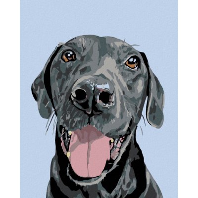 Zuty Malování podle čísel ČERNÝ KRASAVEC – Zboží Mobilmania