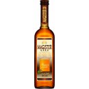 Magister Stock Spirits Dark 22 % 0,5 l (holá láhev)