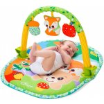 Chicco Hrací edukační deka 3v1 – Zboží Mobilmania