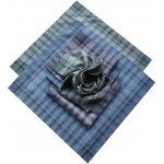 Etex pánské kapesníky 6ks dezén D – Zboží Dáma