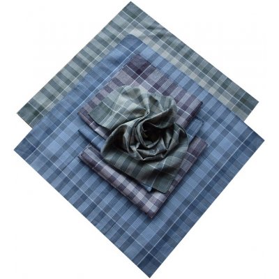 Etex pánské kapesníky 6ks dezén D – Zboží Dáma