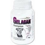 Orling - Gelacan Champion psi černobílá plemena 150 g – Hledejceny.cz