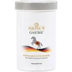 Equine74 Gastric Přírodní směs proti žaludečním vředům pelety 2 kg – Zboží Dáma