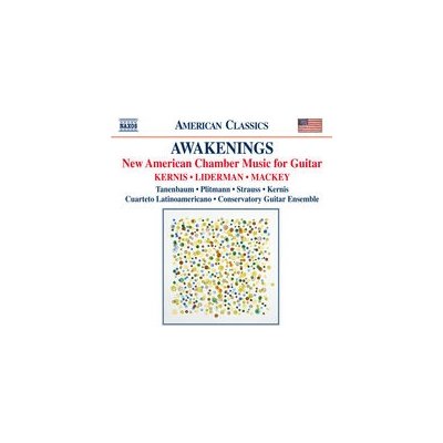 Kernis/Liderman/Mackey - New American Chamber Musi CD – Zbozi.Blesk.cz