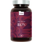 Nutrapie Balanced Iron 90 kapslí – Hledejceny.cz