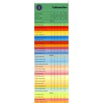 Coloraction A4 80 g 100 listů – Zboží Živě