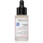 Teaology Hyaluronic Infusion hydratační pleťové sérum s kyselinou hyaluronovou 30 ml – Hledejceny.cz