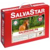 Krmivo a vitamíny pro koně SALVANA SALVASTAR PS s mrkví a jablky 12.5 kg