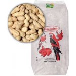 Avicentra Burské oříšky 10 kg – Zboží Dáma