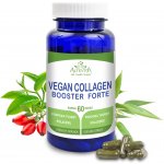 Altevita Vegan collagen booster forte 60 kapslí – Hledejceny.cz