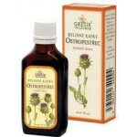 Grešík Ostropestřec kapky Devatero bylin 50 ml – Hledejceny.cz