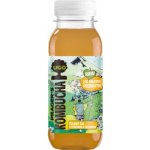 UGO Kombucha Yerba maté Citrón zázvor 0,5 l – Zboží Dáma