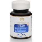 Maharishi Ayurveda Shilajit 60 tablet – Hledejceny.cz