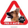 Autovýbava Grel nálepka na sklo pozor pes v autě německý ovčák z profilu