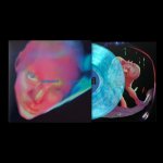Fontaines D.C. - Dopamine Chamber (Indie) (Blue Coloured) CLR LP – Hledejceny.cz