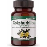 Herbal Hills Gokshurhills Bylinné kapsle 60 kapslí – Hledejceny.cz