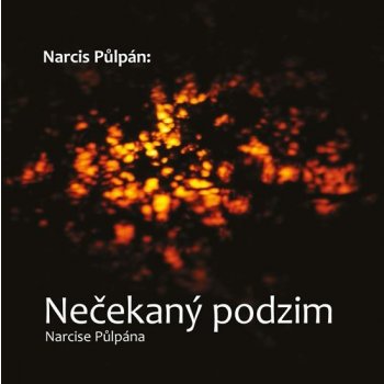 Narcis Půlpán: Nečekaný podzim Narcise Půlpána - Sedláček Petr, Moučka Michal,