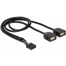 Delock USB kabel Pin konektor samice > 2 x USB 2.0 type-A samice 40 cm - 83823