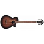 Ibanez AEGB24E – Zboží Mobilmania