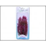 Tetra rostlina Red Foxtail Plus 23 cm – Hledejceny.cz