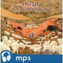 Obrazy z Nového zákona Další příběhy - Fučíková Renáta