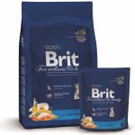 Brit Kitten Premium 0,8 kg – Zboží Mobilmania