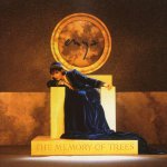 Enya - The Memory Of Trees CD – Hledejceny.cz