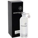 Montale Ginger Musk parfémovaná voda unisex 100 ml – Hledejceny.cz