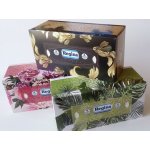 Regina Elegance papírové kapesníčky 4-vrstvé 96 ks – Zboží Dáma