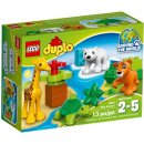  LEGO® DUPLO® 10801 Mláďátka