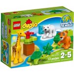 LEGO® DUPLO® 10801 Mláďátka – Zbozi.Blesk.cz