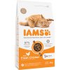 Granule pro kočky IAMS Advanced Nutrition Adult Cat s kuřecím 2 x 3 kg