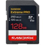 Sandisk SDXC Extreme PRO 128GB SDSDXXJ-128G-GSCIN – Hledejceny.cz