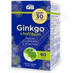 GS Ginkgo 2023 60 mg s hořčíkem 90+30 tablet – Sleviste.cz