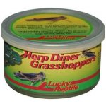 Lucky Reptile Herp Diner sarančata velká 35 g – Zbozi.Blesk.cz