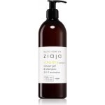 Ziaja Baltic Home Spa Fit sprchový gel 500 ml – Hledejceny.cz