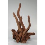 Orbit kořen Corbo M 40-50 cm – Zbozi.Blesk.cz