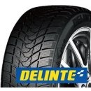 Osobní pneumatika Delinte WD1 205/60 R16 96H