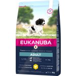 Eukanuba Adult Medium Breed 3 kg – Hledejceny.cz