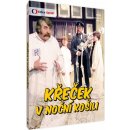 Křeček v noční košili 2DVD DVD