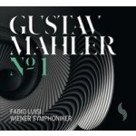 Mahler Gustav - Sinfonie 1 LP – Hledejceny.cz
