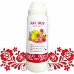 Vínofit FAT BOY 1 kg – Zboží Mobilmania